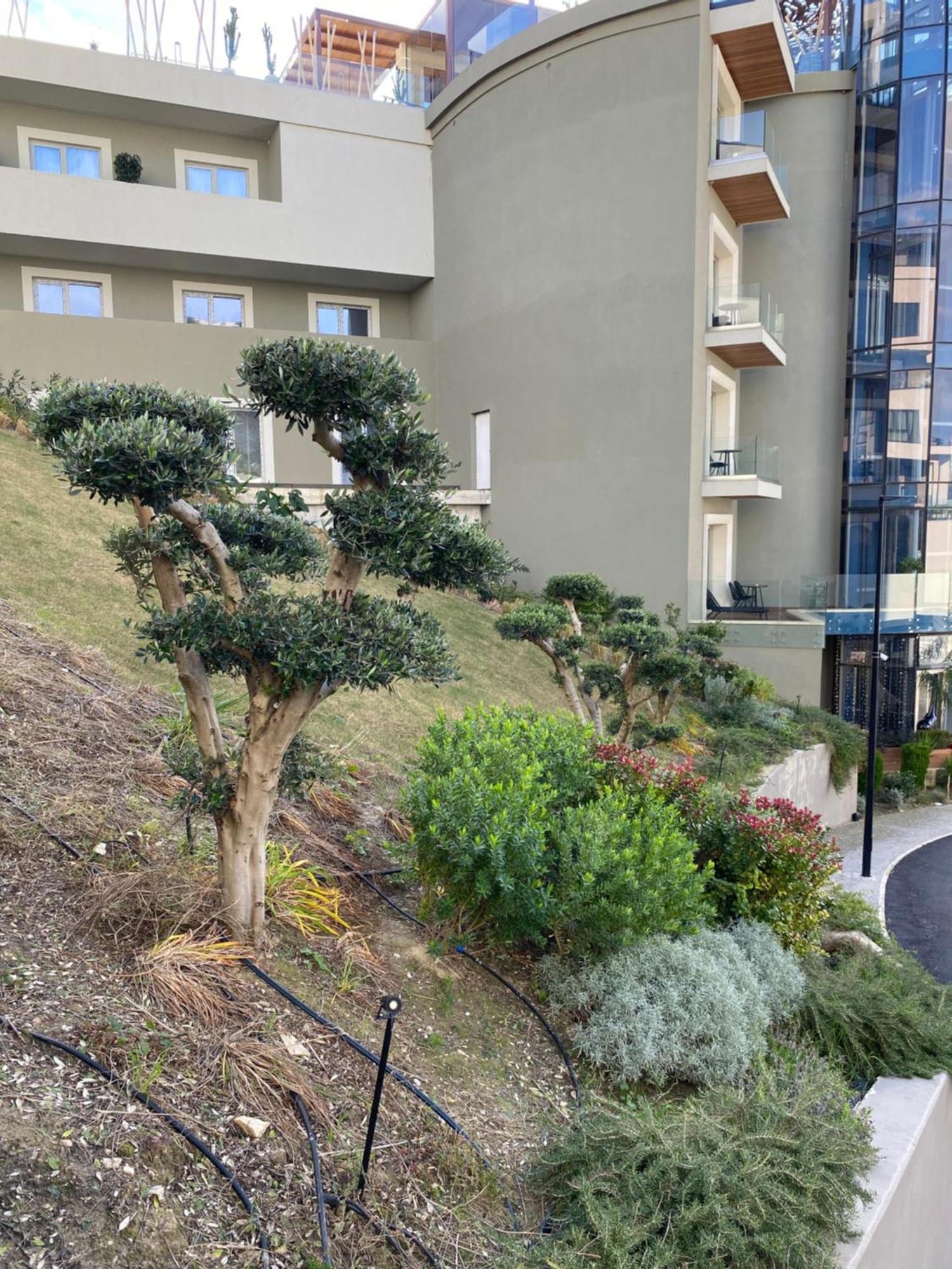 Apartament Kam Wlora